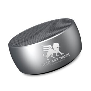 Portable Chess Metal Alloy Speaker